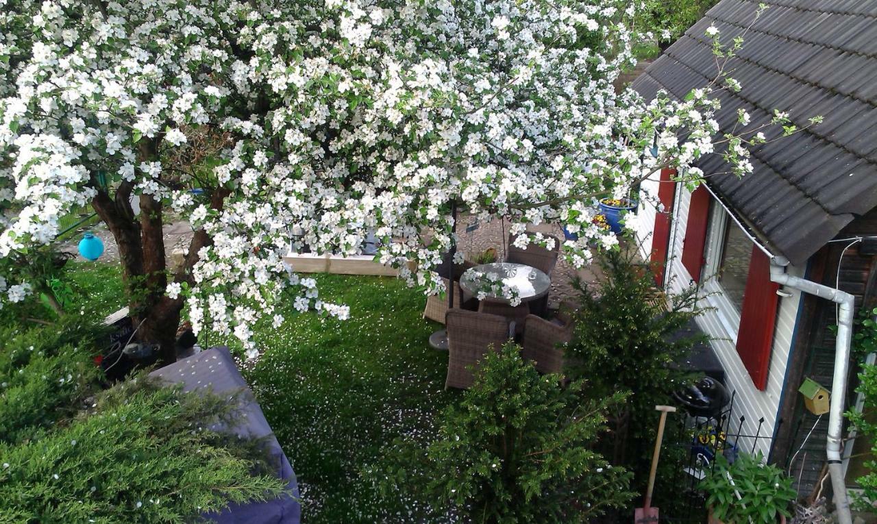 Das Kleine Ferienhaus 베를린 외부 사진